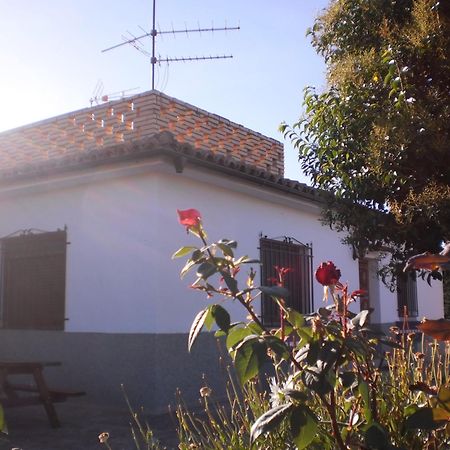 Casa Los Olivos Grávalos Εξωτερικό φωτογραφία