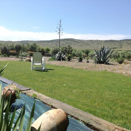 Casa Los Olivos Grávalos Εξωτερικό φωτογραφία