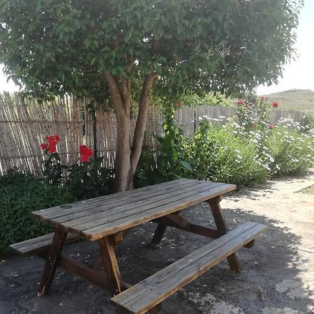 Casa Los Olivos Grávalos Εξωτερικό φωτογραφία