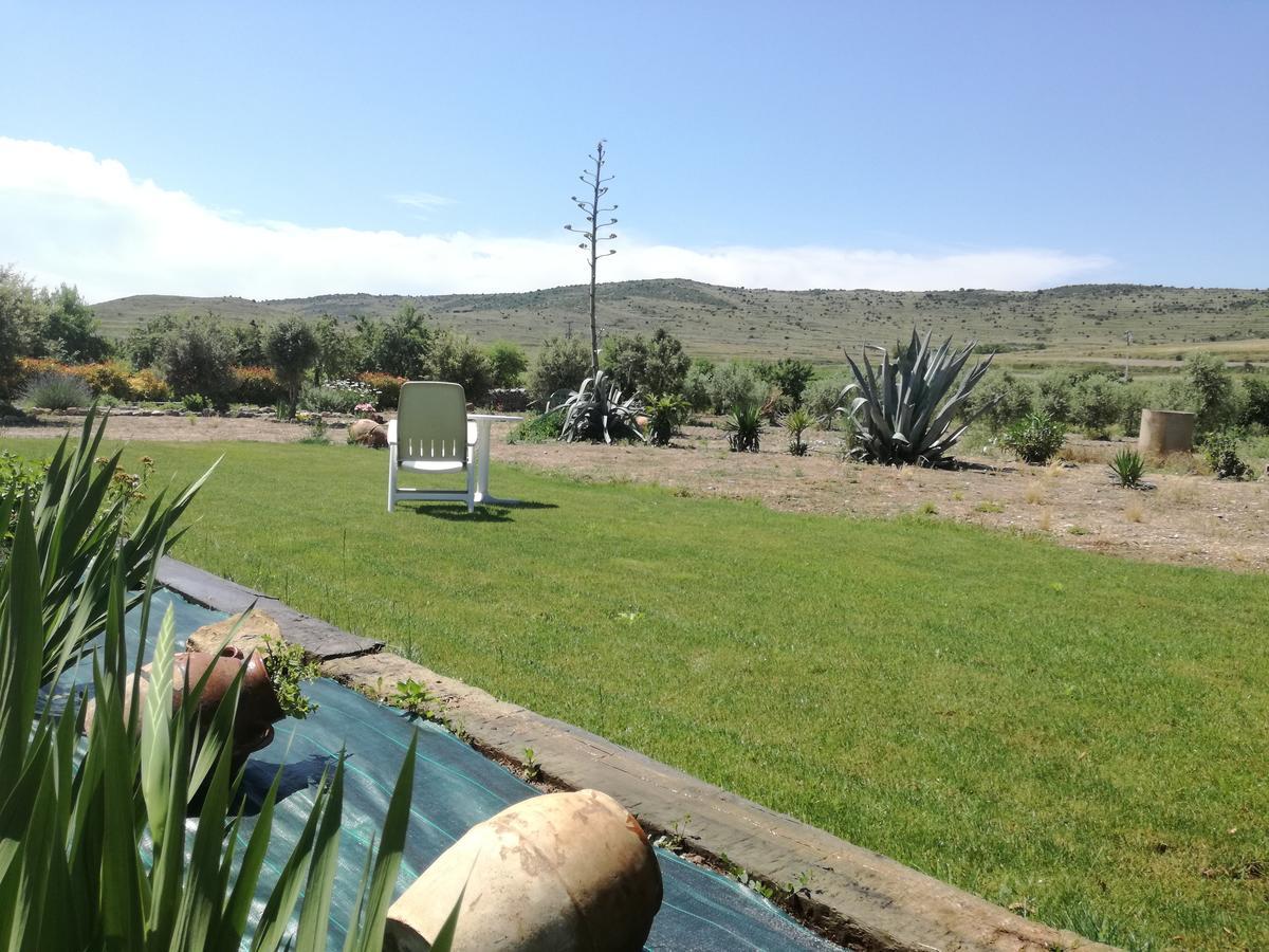 Casa Los Olivos Grávalos Εξωτερικό φωτογραφία